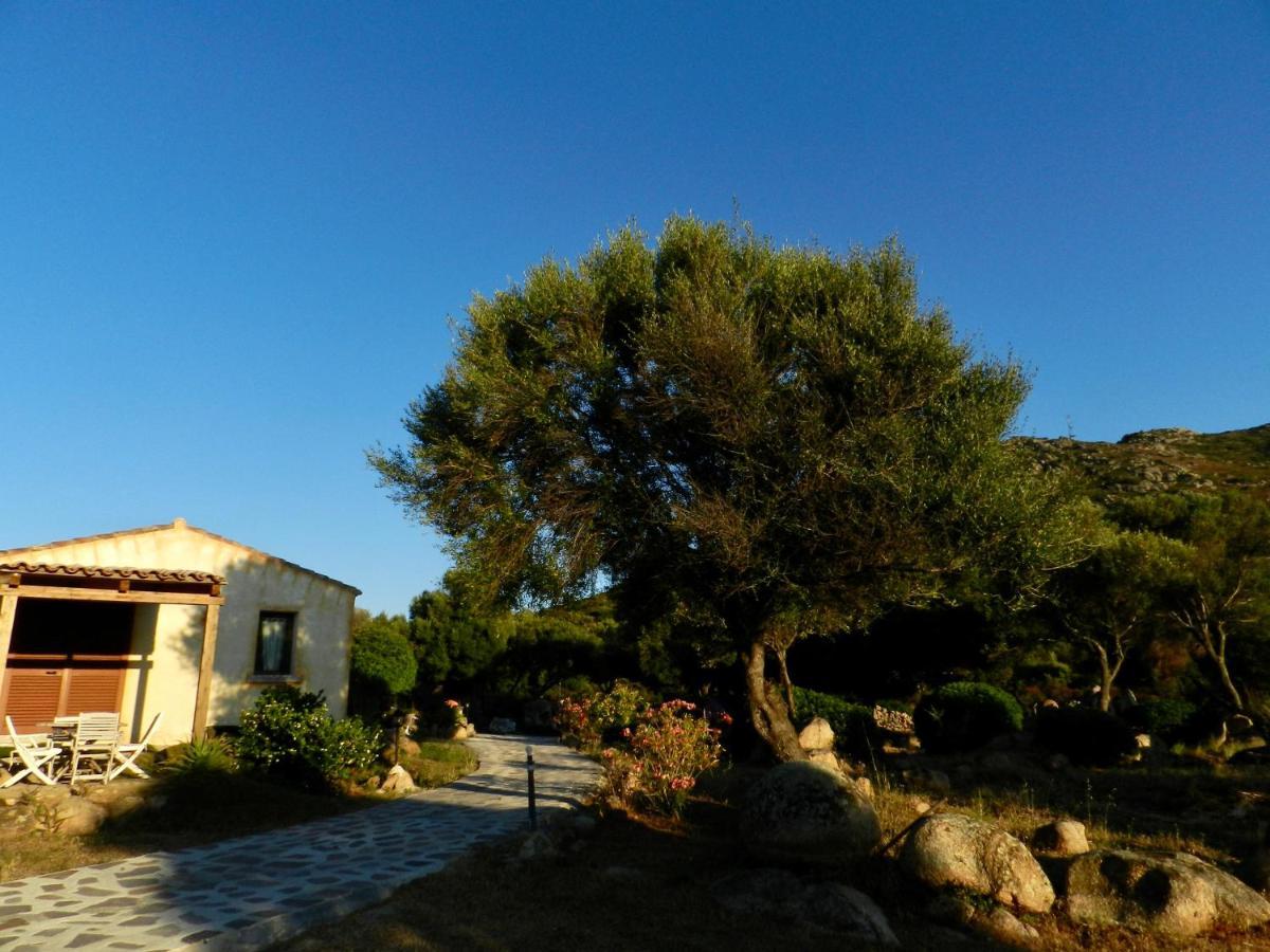 B&B Su Donnigheddu Rudalza Exterior foto